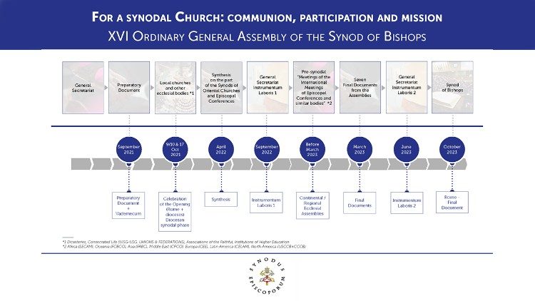 Bishop Synod Timeline
