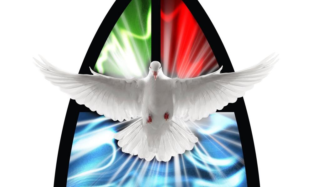 Announce the Gospel, Equipping the Household of Faith